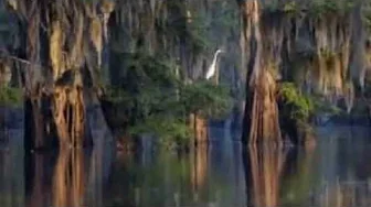 "Atchafalaya" written by Frank Ball. performed by Absinthe Minded "Atchafalaya" written by Frank Ball. performed by Absinthe Minded