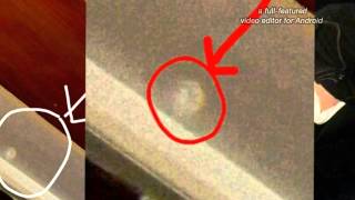 Scary face in an orb captured in photo