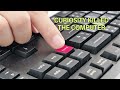 How to Avoid Email Scams