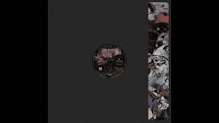 PREMIERE: Zeta Reticula - The Human Scientific Vessel [eudemonia Records]