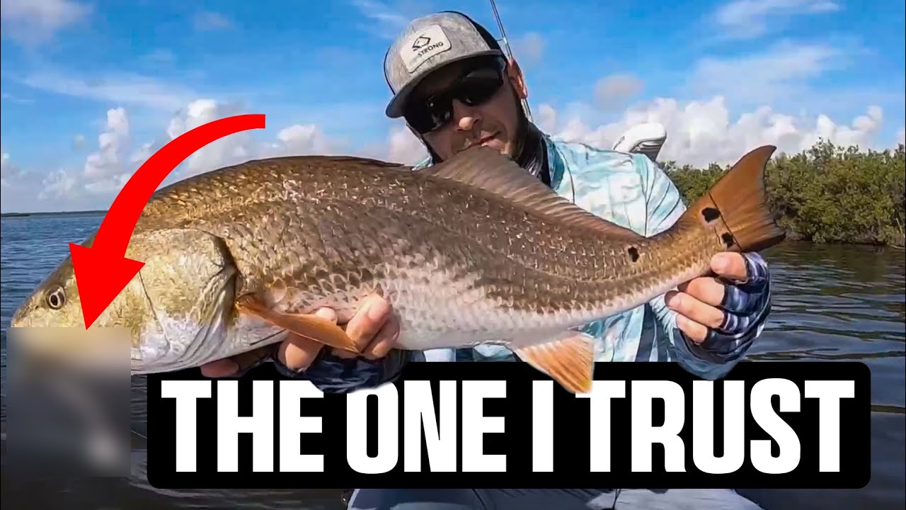 Почему я добавляю ЭТО в шоколадную молочную воду (это работает)