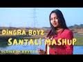 Dingra boyz santali lofi mashup slowedreverb1 hour mind relaxing song deepaktunespresents