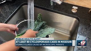 Cyclosporiasis cases nearly double in Missouri Boone County up to 13 cases