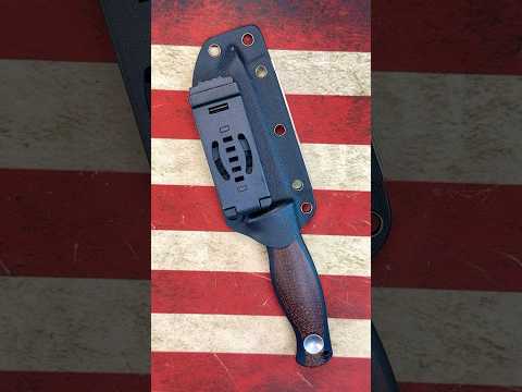 Kizer Polaris.
