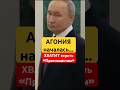Умланд: «Это коллапс режима Путина»