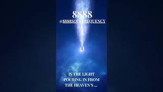 8888 INFINITY THE WARMTH OF YOUR SOUL ESSENCE