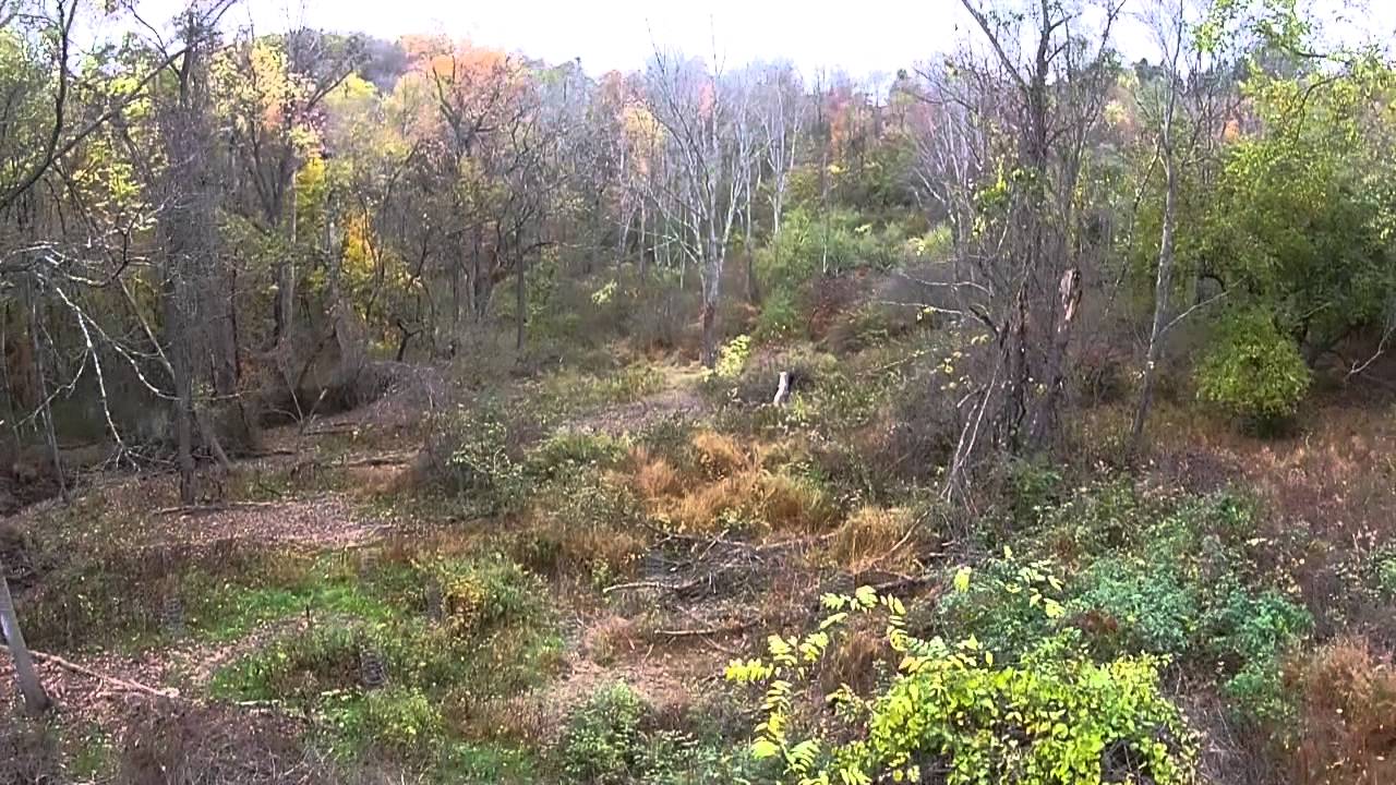 Woods of Plenty: Worked Land Flyover