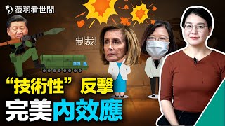 炸魚任務提前結束、制裁佩洛西家族，兩項技術性反擊，內效應完美；捐30億新台幣，曹興誠出力台灣國防建設，台灣收穫更多。｜薇羽看世間 第518期 20220805