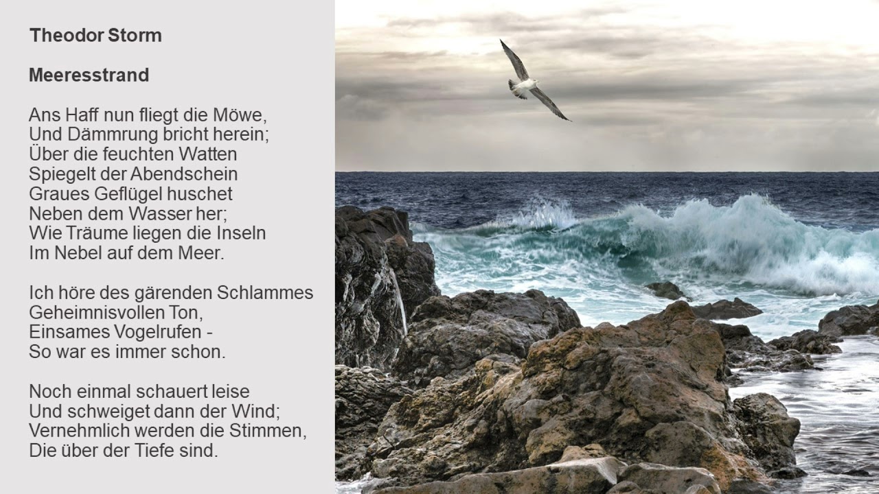 Meeresstrand Von Theodor Storm