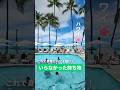 荷物を減らしてもっと身軽に🌺ぶっちゃけハワイ旅行でいらなかった持ち物を3つ紹介します✅ #newt #海外旅行 #海外一人旅 #ハワイ旅行 #ハワイ #ハワイ旅 #ハワイ情報
