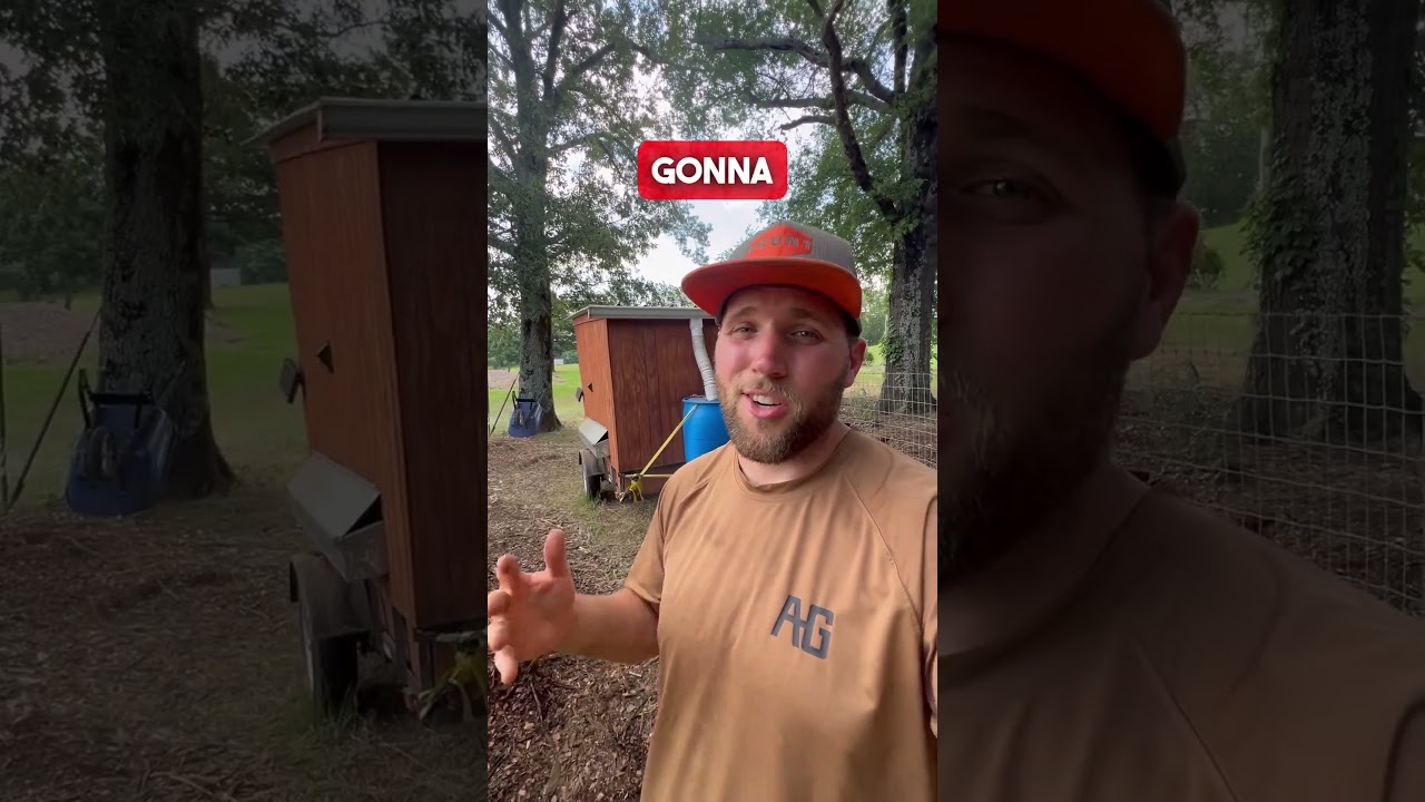 HOW TO CARE FOR CHICKENS IN THE SUMMER HEAT 