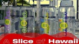Small Business Spotlight: Wow Wow Hawaiian Lemonade