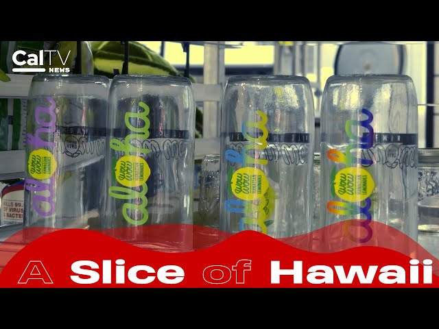 Small Business Spotlight: Wow Wow Hawaiian Lemonade