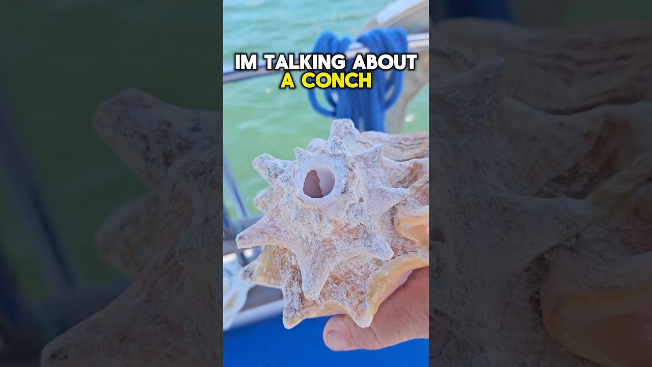 You CANT buy these— Here is how to make them! #cruising #boat #diy