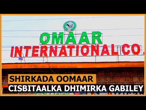 Shirkada Oomaar Ayaa Deeq Caawimo Ah Ku Wareejisay  Cisbitaalka Dhimirka Gabiley