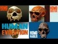 Facts about Human Evolution