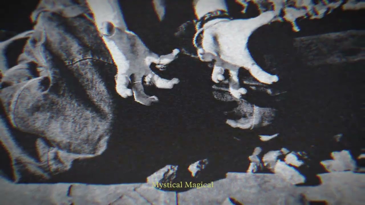 Adolphina - mystical magical (Official Audio)