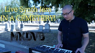 Celebrity Ghosts Believe In Us (Live Sequential Pro 3 Synth Jam) Net Worth