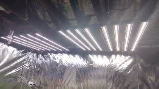 AS-PG-IR-800 and the AS-PG 660 from Agronstar