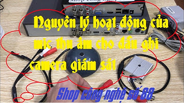 Nguyên lý hoạt động của mic thu âm cho đầu ghi camera giám sát