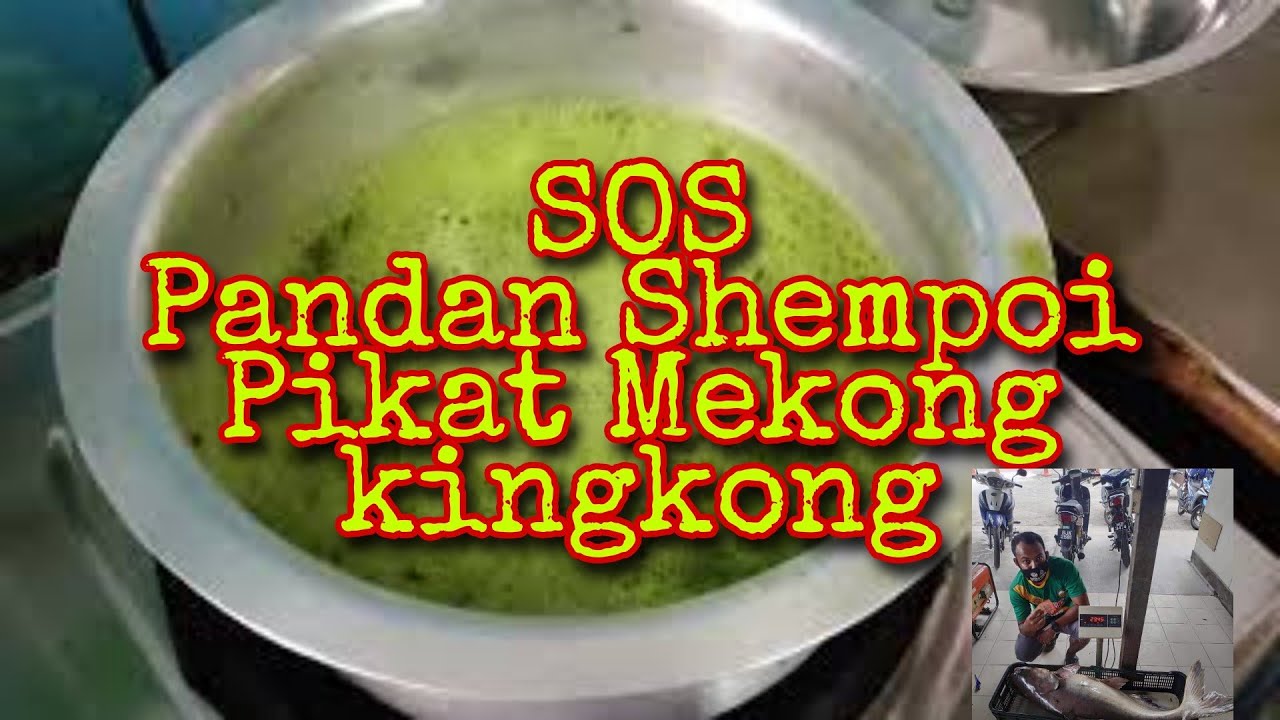 kita belanja lagi SOS PANDAN HIJAU MERINDU#mekong #patin comfirm TERAPUNG