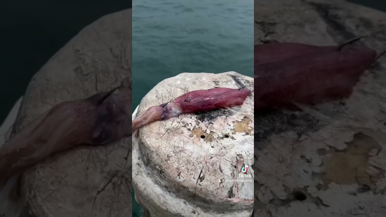 Yakkas doing the damage  