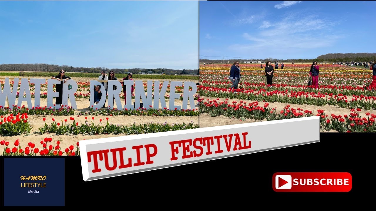 Tulip Festival Waterdrinker Family Garden Long Island, NY YouTube