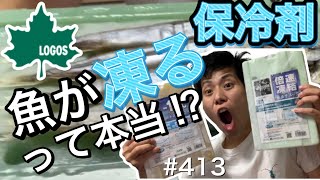 LOGOSの倍速凍結氷点下パックで魚が凍るって本当⁉︎【ロゴス】【保冷剤】