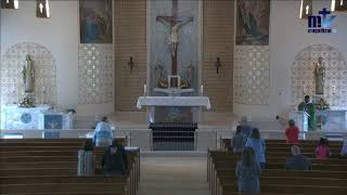 Thursday of the Twelfth Week in Ordinary Time