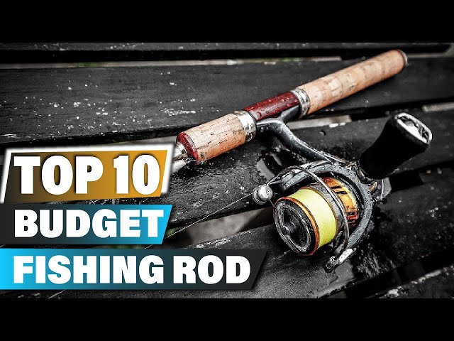 Best Budget Fishing Rods In 2023 - Top 10 Budget Fishing Rod Review 