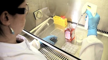 Selecting the Right Alvetex®Scaffold Format