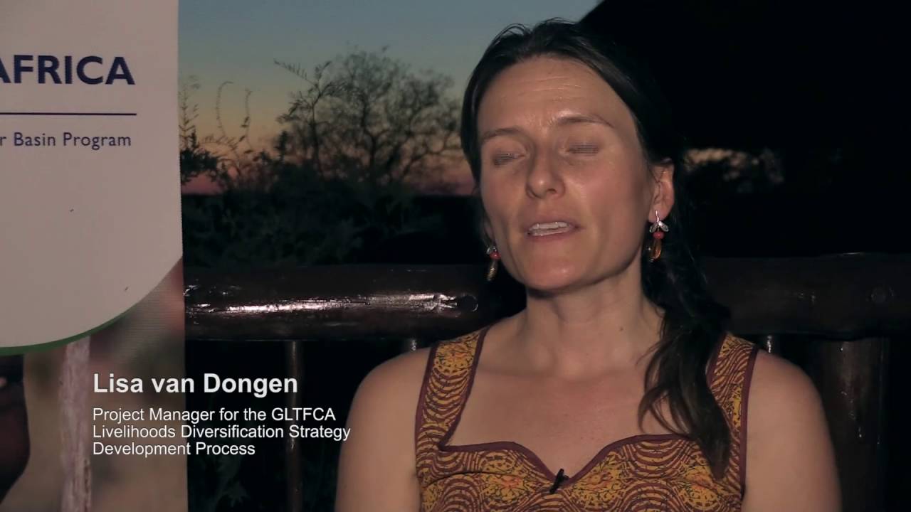 Livelihoods diversification strategy for Great Limpopo