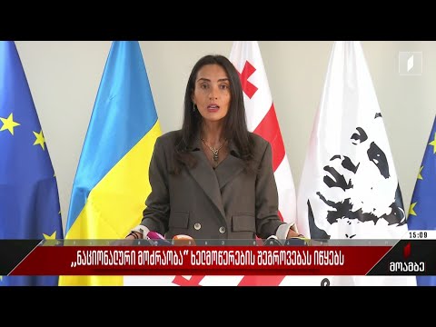 „ნაციონალური მოძრაობა“ ხელმოწერების შეგროვებას იწყებს