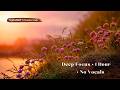 1 Hour Deep Focus Music No Vocals