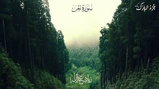 سورة الجن | زياد عبد الله | Surat Al-Jinn | Ziad Abdallah