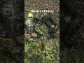 PEAK SOULS ?!?