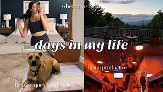 VLOG: packing for Asheville, vet trips, new supplements, seasonal depression, workout classes + more