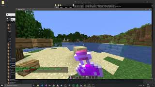 [Minecraft Plugin] BarBets plugin screenshot 3