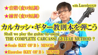 カルカッシ ギター教則本　Carcassi Guitar Method 121