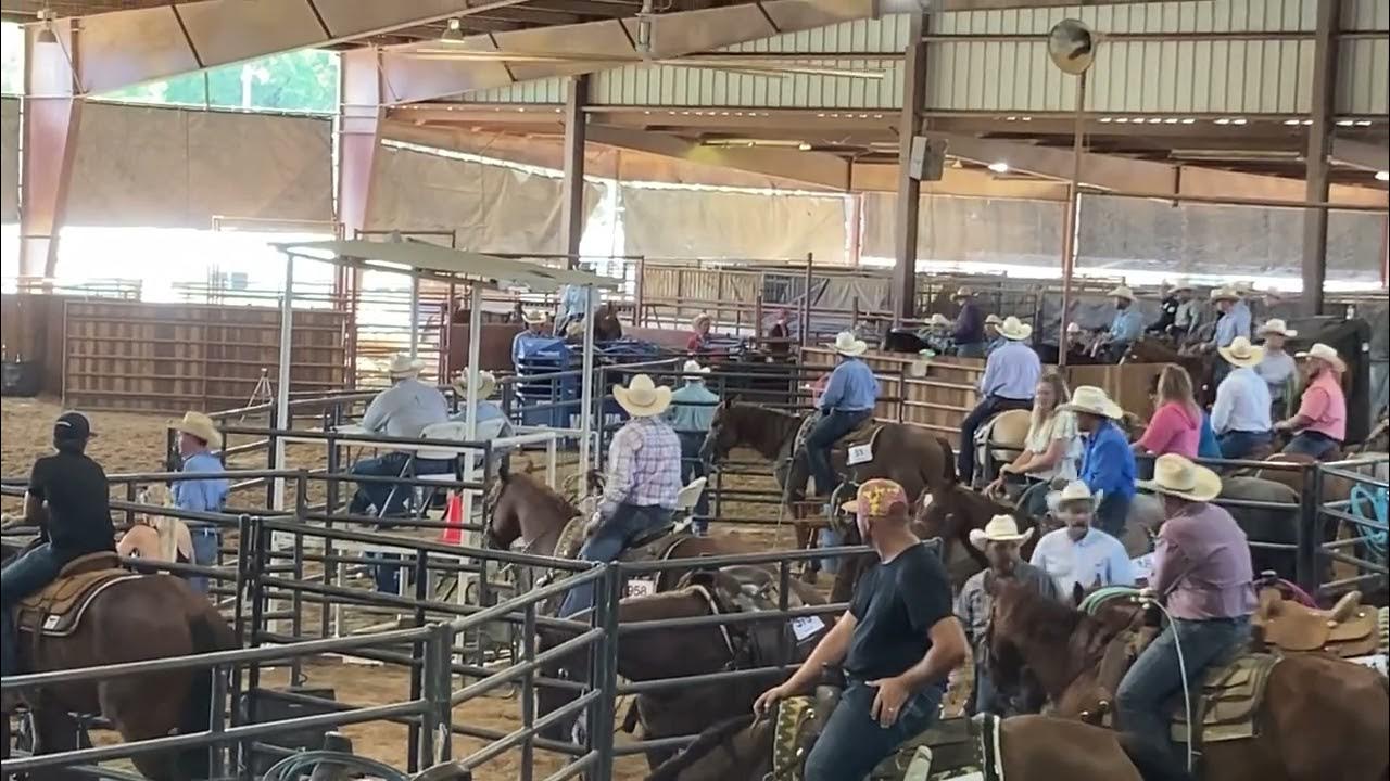 Hot Rod Bucks Lot 16 Pitzer Ranch Spring Sale YouTube