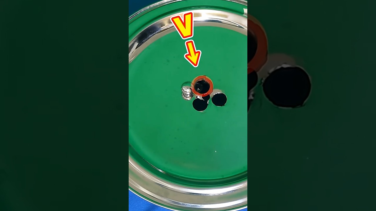 YT1031CM003267