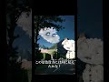 TikTokでバズった動画