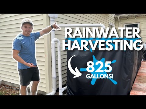 DIY Rain Water Collection System - Over 800 Gallons of Rainwater!