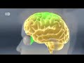 Manthan : Episode 17: Alzheimer's disease (अल्जाइमर का खतरा)