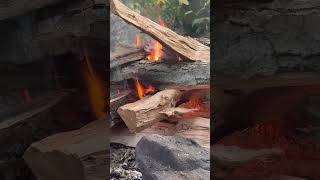 Sights And Sounds Of In