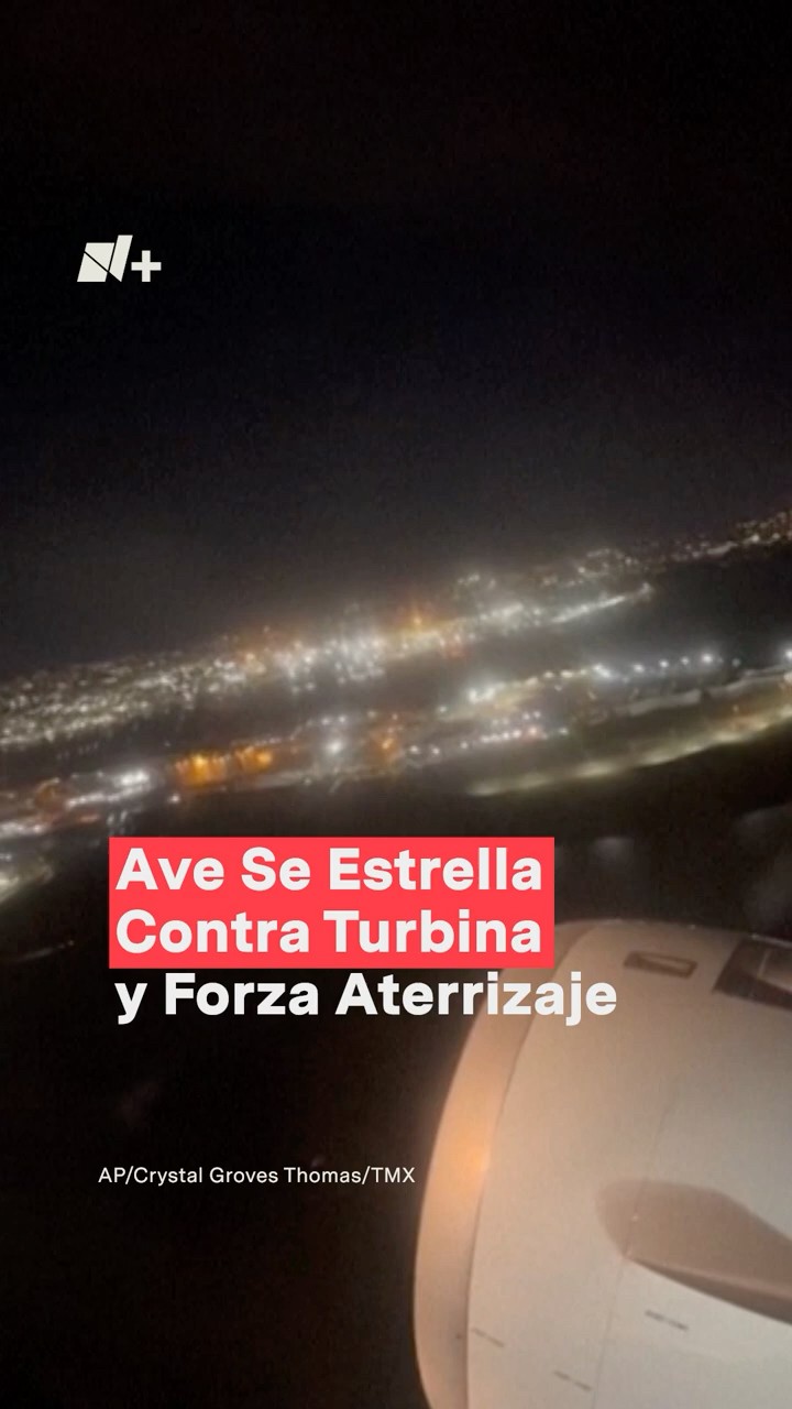 Ave se estrella contra turbina y forza aterrizaje - N #shorts