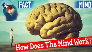 Why Facts Don’t Change Our Minds ? How Does The Mind Work ?