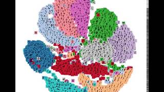 Generating a 2D t-SNE plot of the MNIST dataset