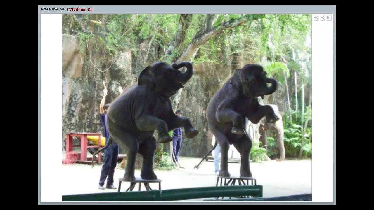 Harika Travel - первая презентация!