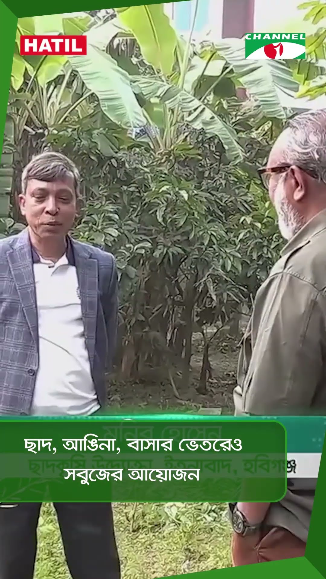 ছাদ, আঙিনা, বাসার ভেতরেও সবুজের আয়োজন|| Channel i News